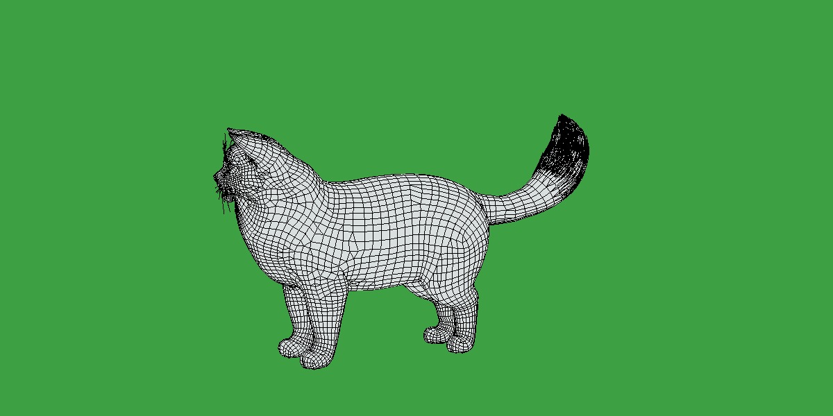 Ragdoll Cat Breed Low-poly 3D model_15