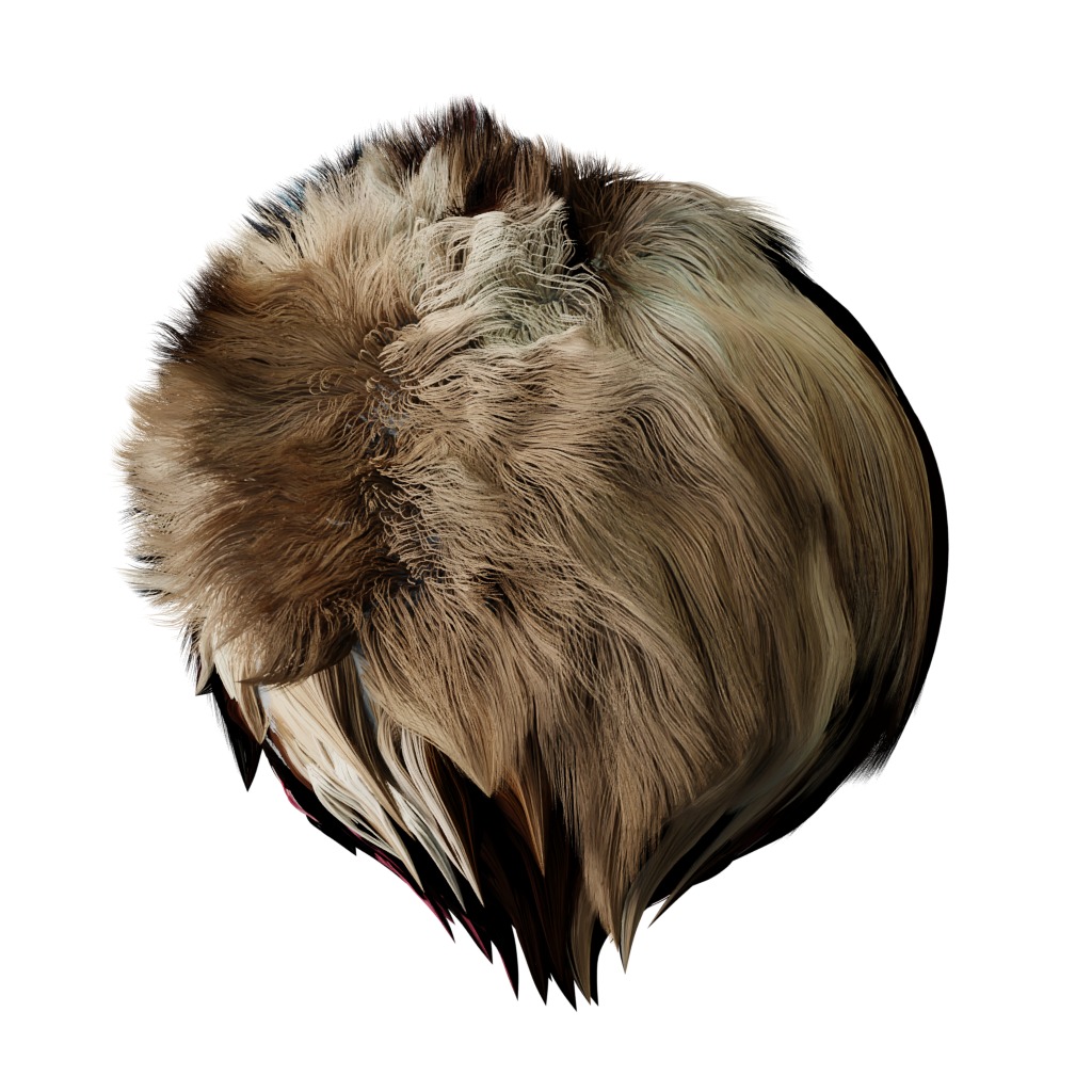 Ragdoll Cat Breed Low-poly 3D model_38