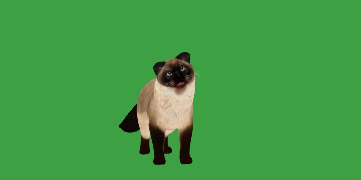 Ragdoll Cat Breed Low-poly 3D model_7