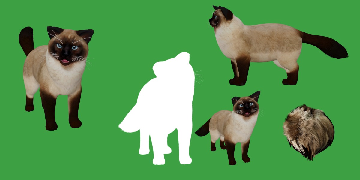 Ragdoll Cat Breed Low-poly 3D model_6