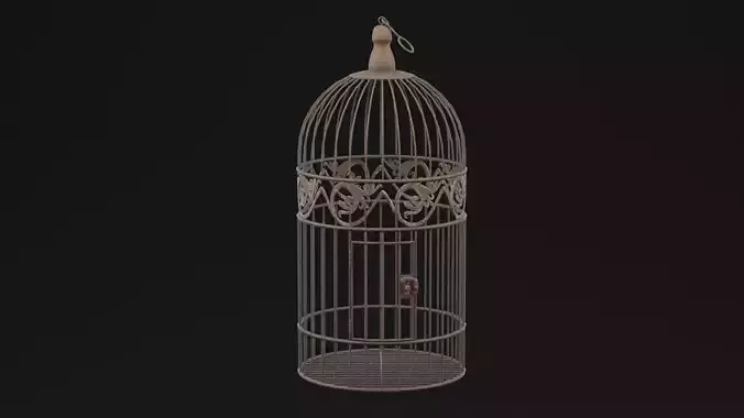 Rusty Bird Cage