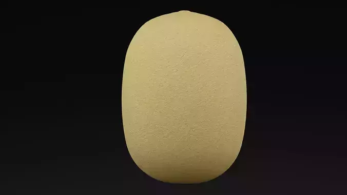 Realistic Kiwi
