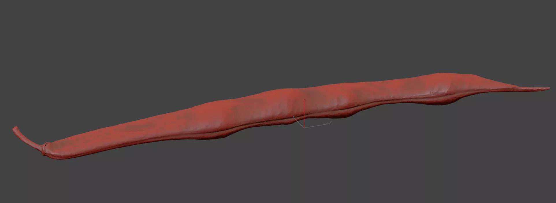 Bean Pod 3D model_7