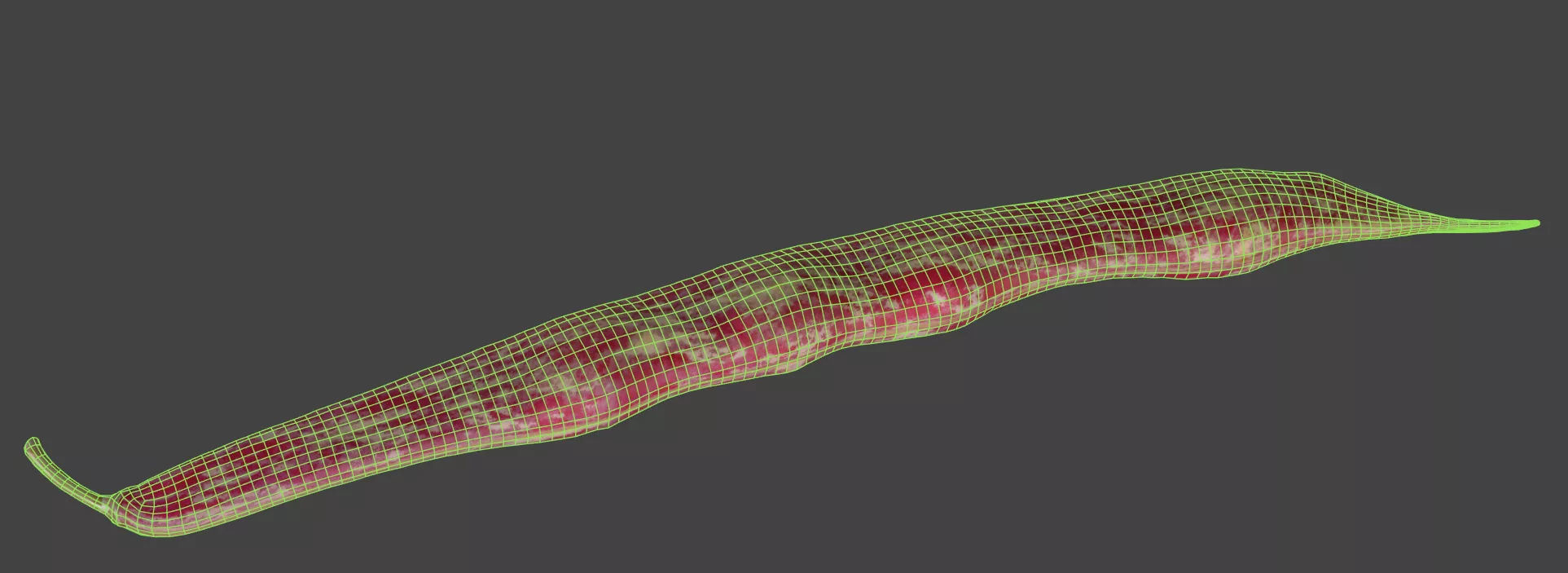 Bean Pod 3D model_6