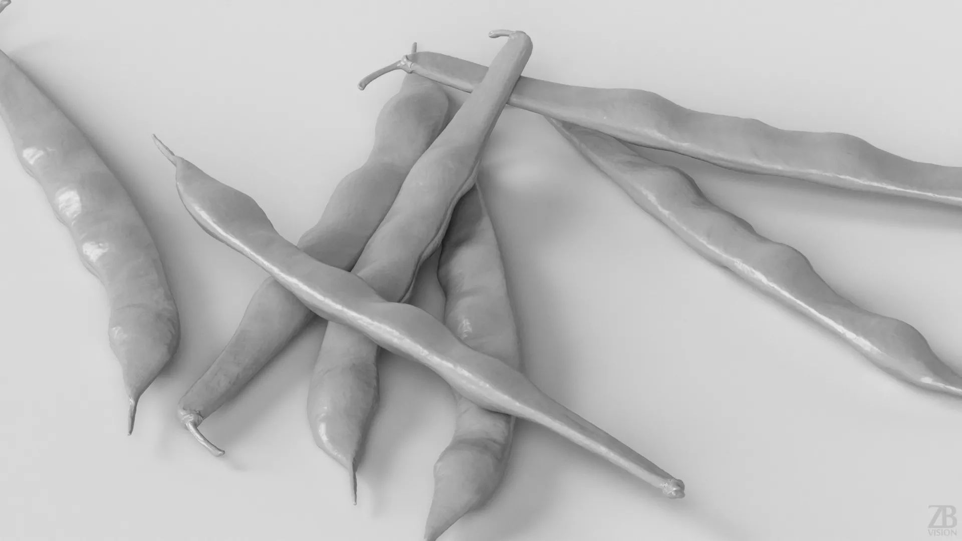 Bean Pod 3D model_3