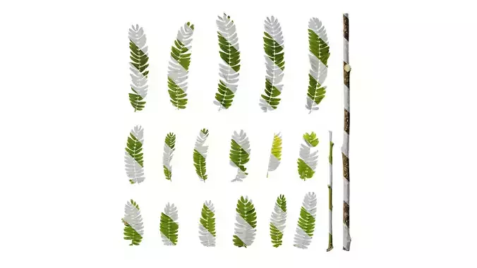 Anydrafts Albizia julibrissin Leaf 02