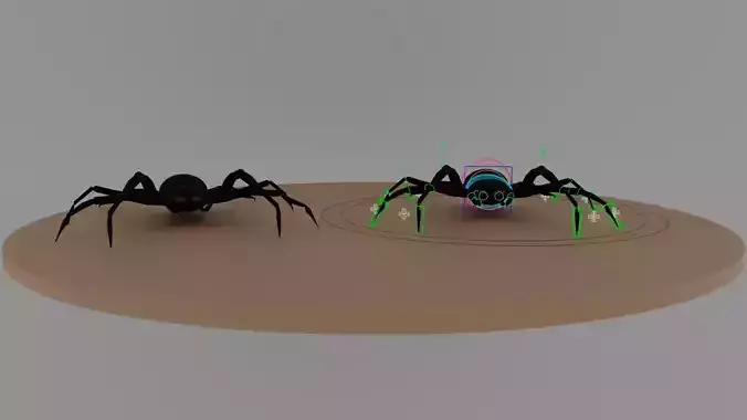 Black Spider Rig