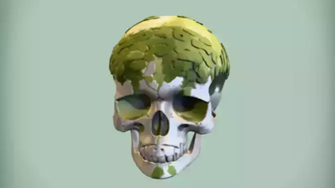 moss-covered human skull  3D Game Ready Model