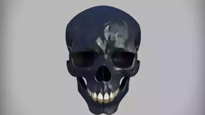 human skull Game Ready 3D Model
