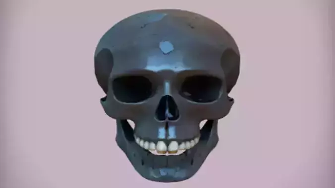 human skull Game Ready 3D Model
