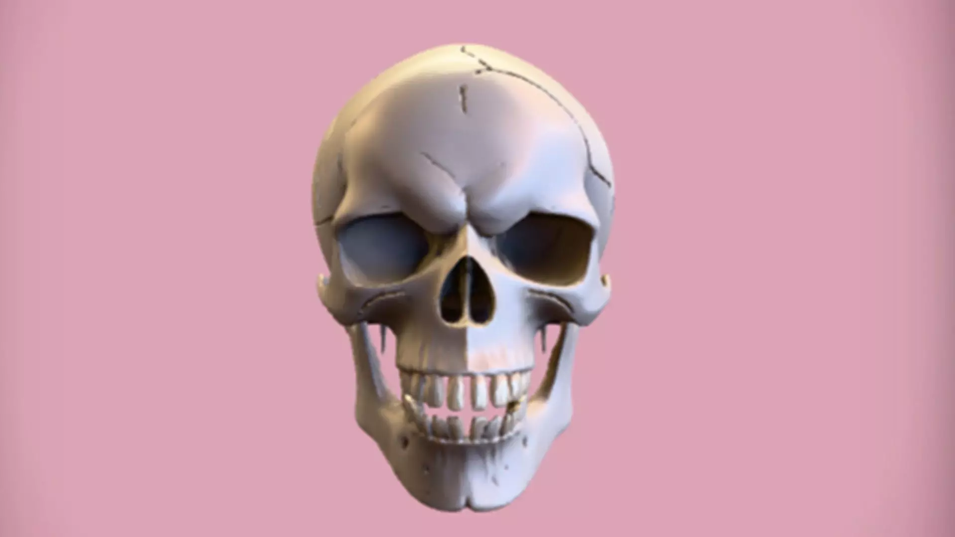 Human Skull 3D Game Ready Model 3D model_0