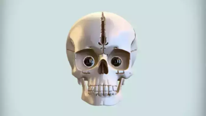 cartoon skull with large eyes 3D model