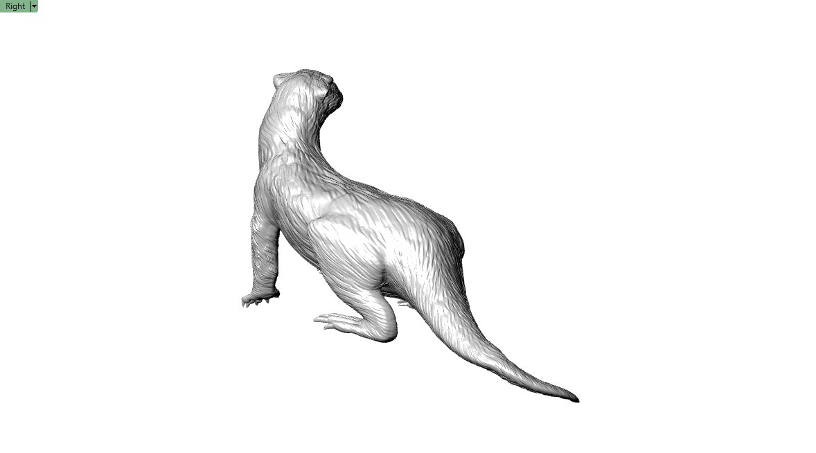 Giant Otter 3D printable Model 3D print model_8