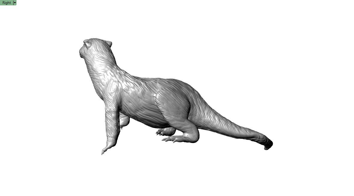 Giant Otter 3D printable Model 3D print model_1
