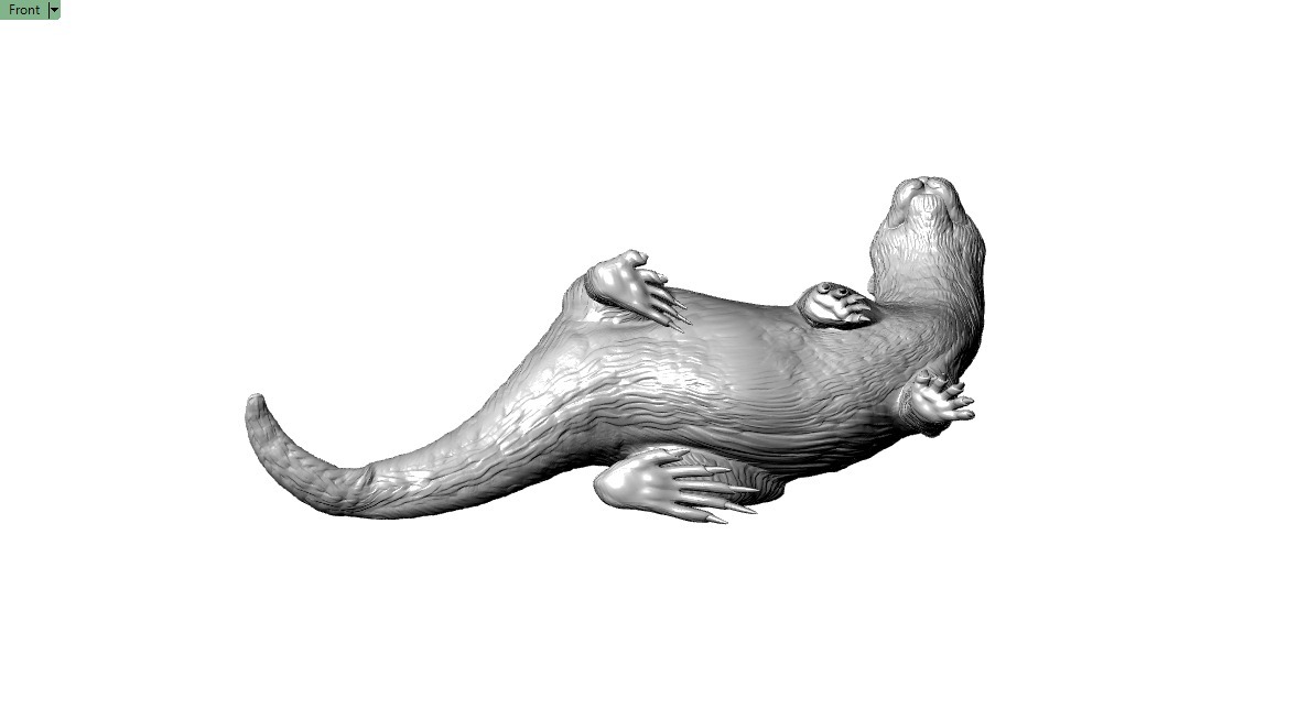 Giant Otter 3D printable Model 3D print model_7