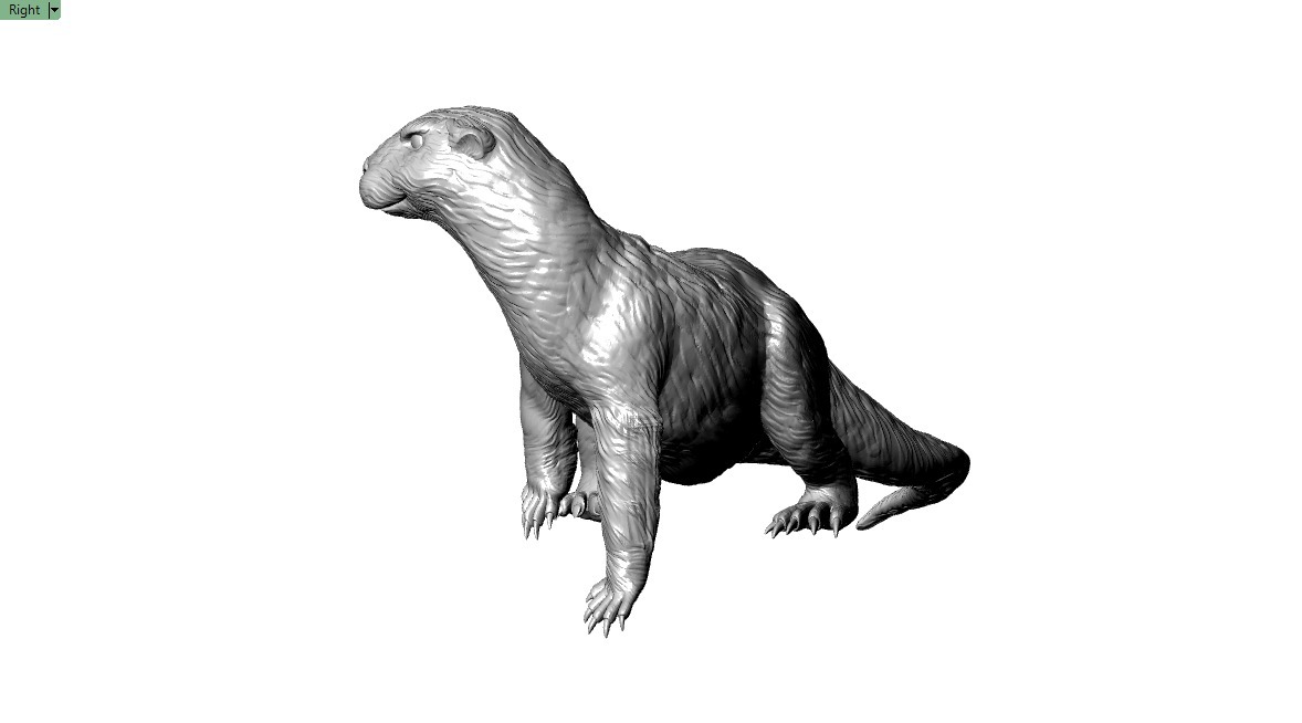 Giant Otter 3D printable Model 3D print model_3