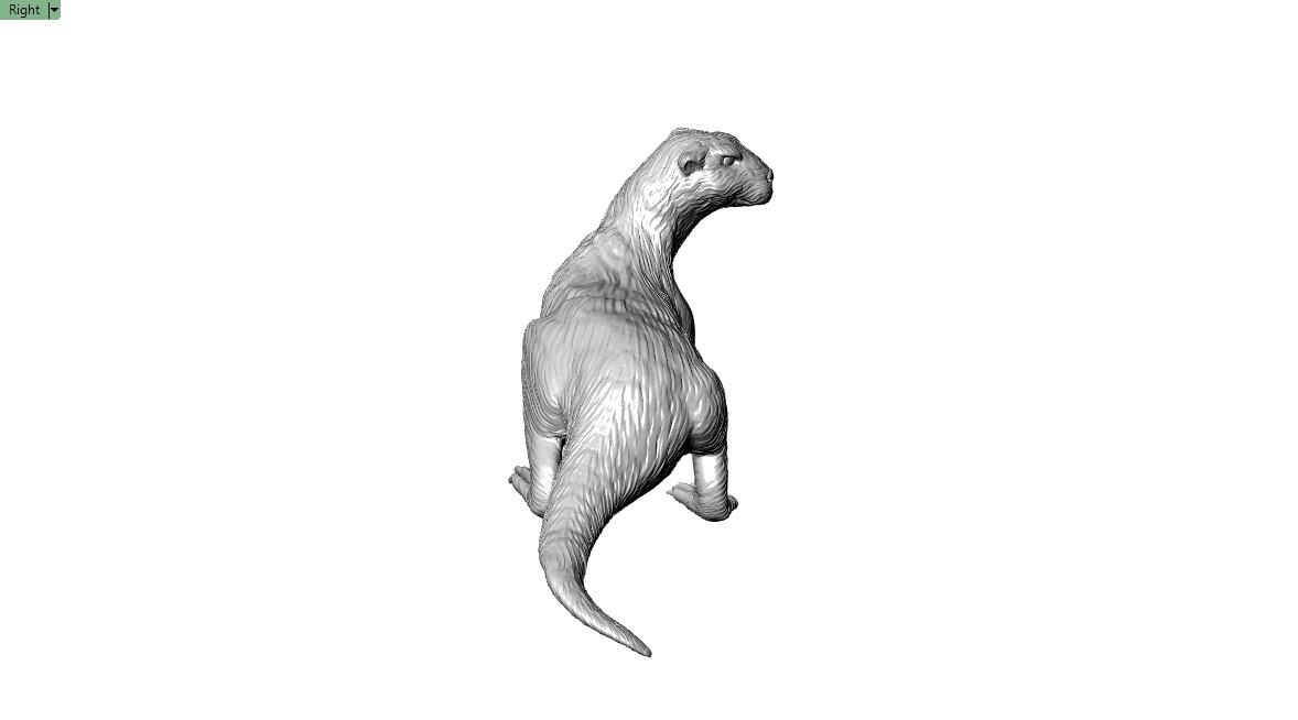 Giant Otter 3D printable Model 3D print model_4