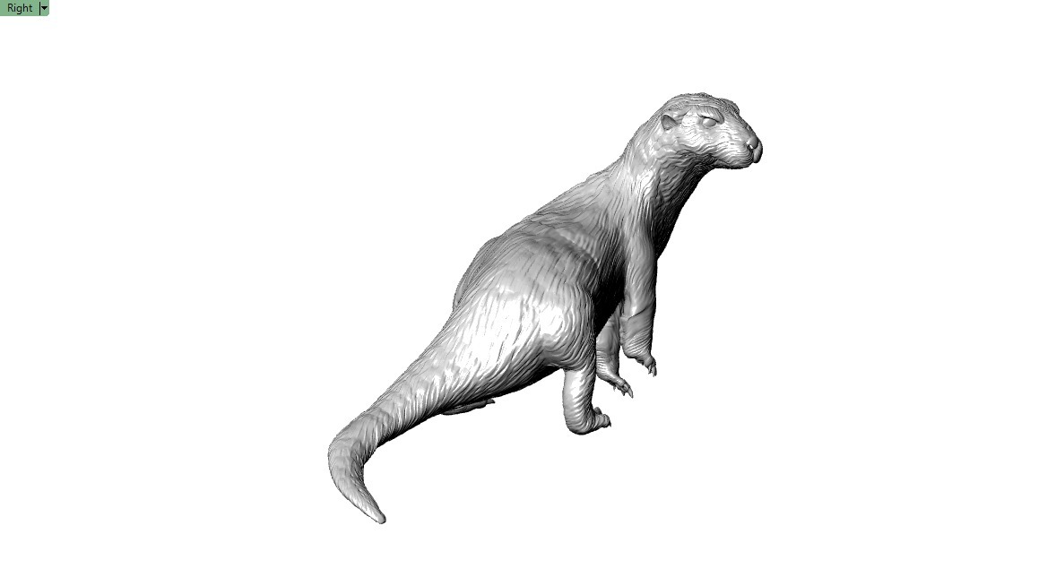 Giant Otter 3D printable Model 3D print model_5