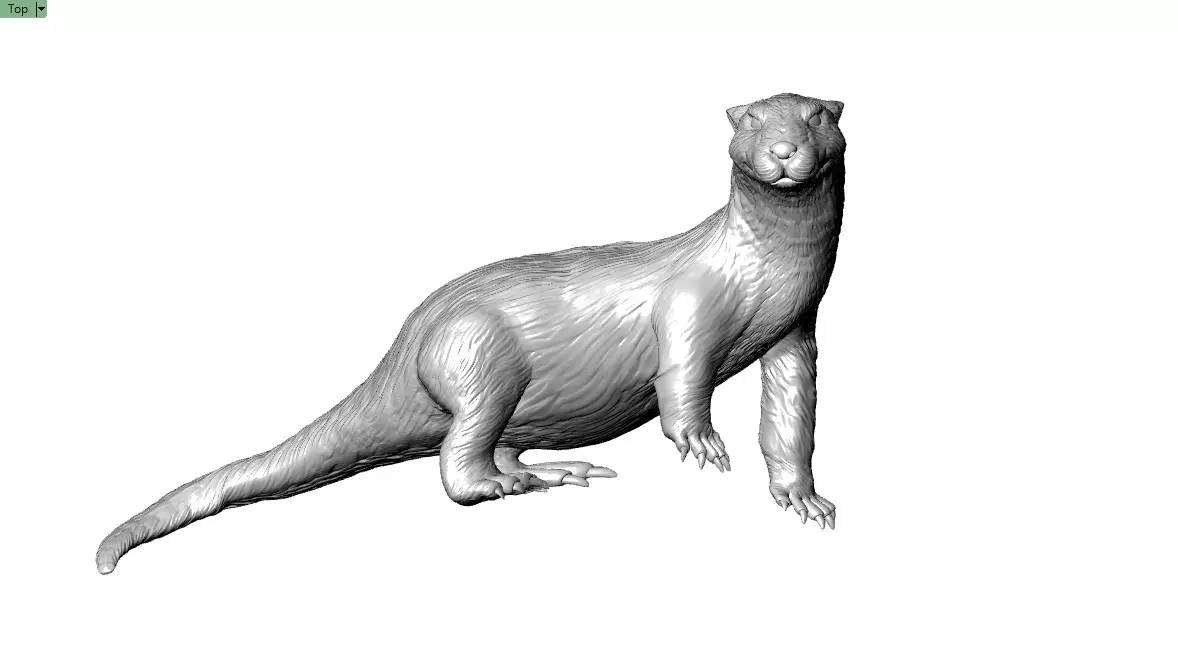 Giant Otter 3D printable Model 3D print model_0
