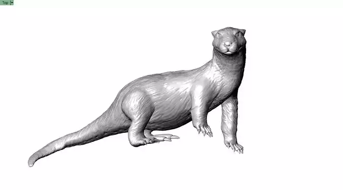 Giant Otter 3D printable Model