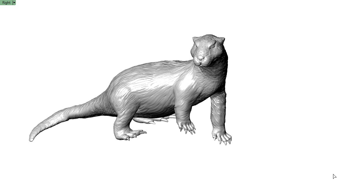 Giant Otter 3D printable Model 3D print model_2