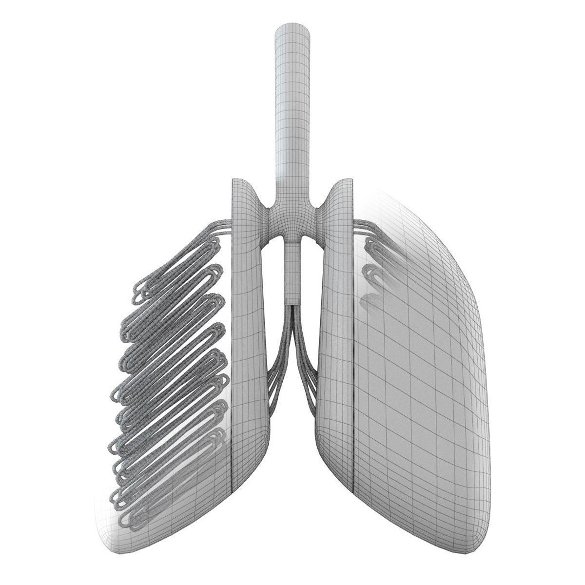 Sci-Fi Artificial Lungs Low-poly 3D model_4