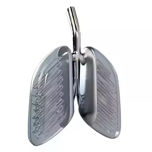 Sci-Fi Artificial Lungs