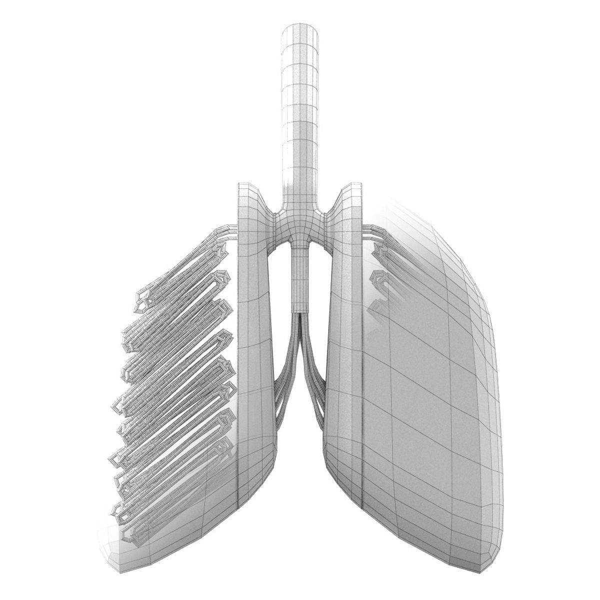 Sci-Fi Artificial Lungs Low-poly 3D model_3