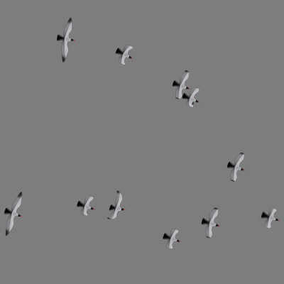 Flock of birds Animated 3D model_10