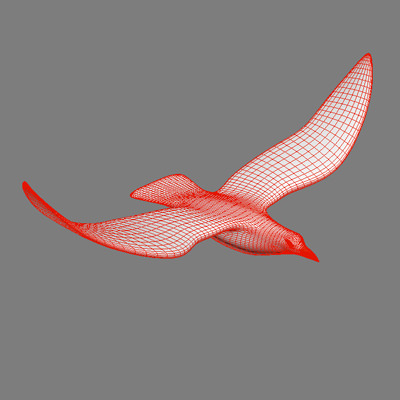 Flock of birds Animated 3D model_4