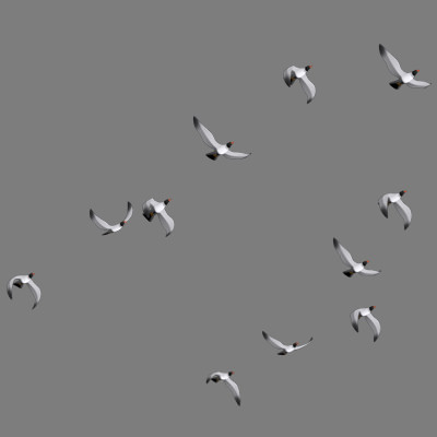 Flock of birds Animated 3D model_8