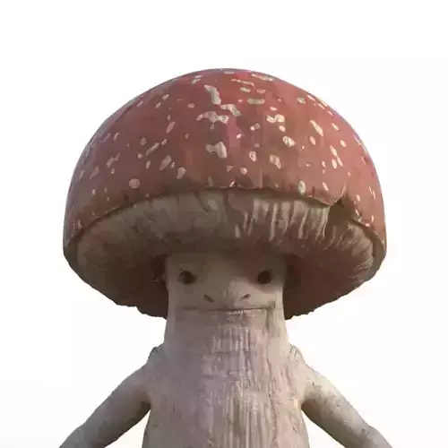 MushroomGuy