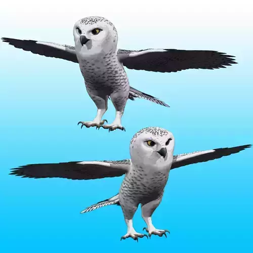 Snowy White Owl Rig 3D model