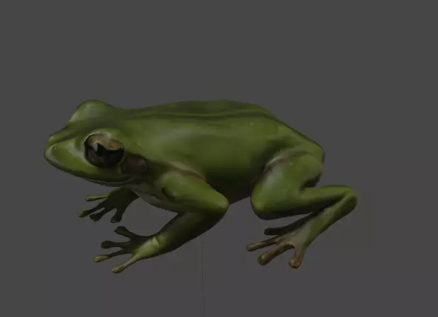 Realistic Frog 3D Model 3D model_0