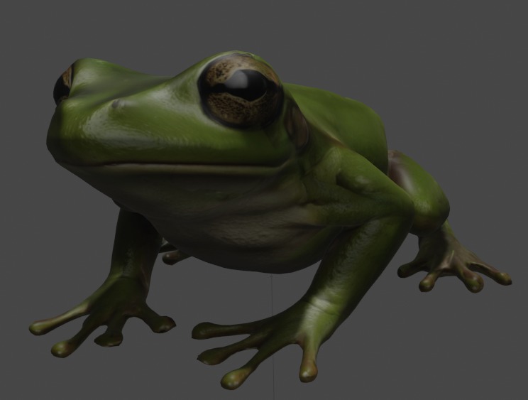 Realistic Frog 3D Model 3D model_2