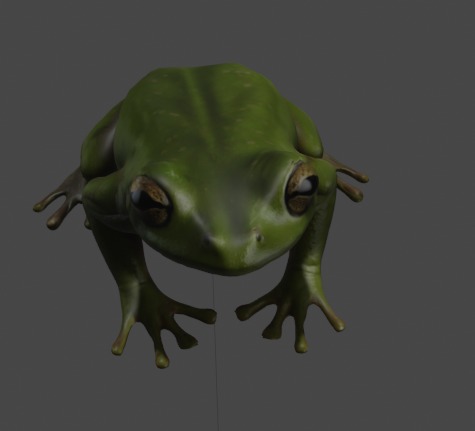 Realistic Frog 3D Model 3D model_1