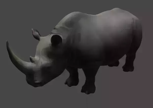 Realistic Rhinoceros 3D Model