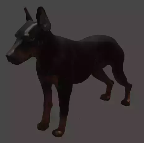 Doberman Pinscher 3D Model