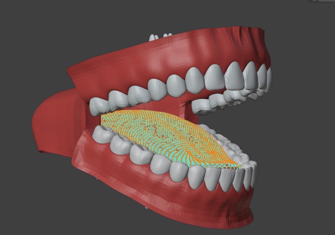 3D Teeth Tounge and Mouth - Dental Model 3D model_2