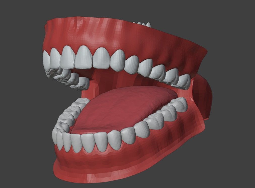 3D Teeth Tounge and Mouth - Dental Model 3D model_8