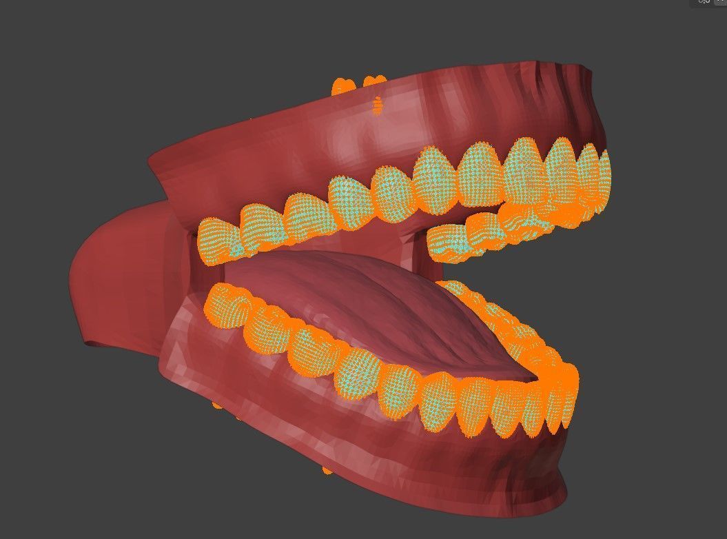 3D Teeth Tounge and Mouth - Dental Model 3D model_7