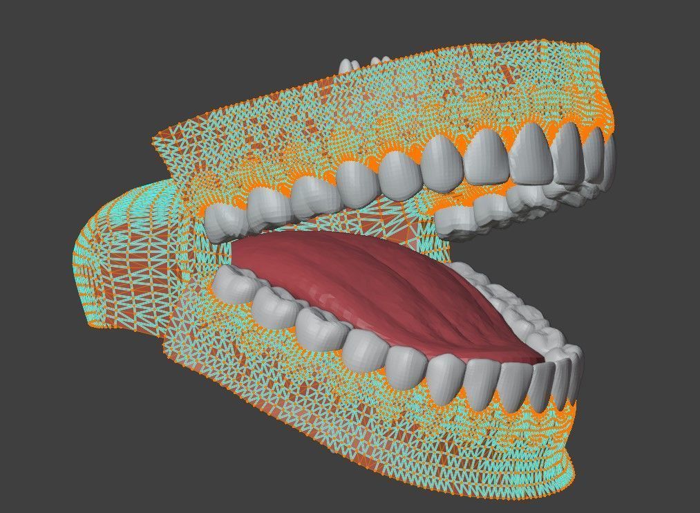 3D Teeth Tounge and Mouth - Dental Model 3D model_6