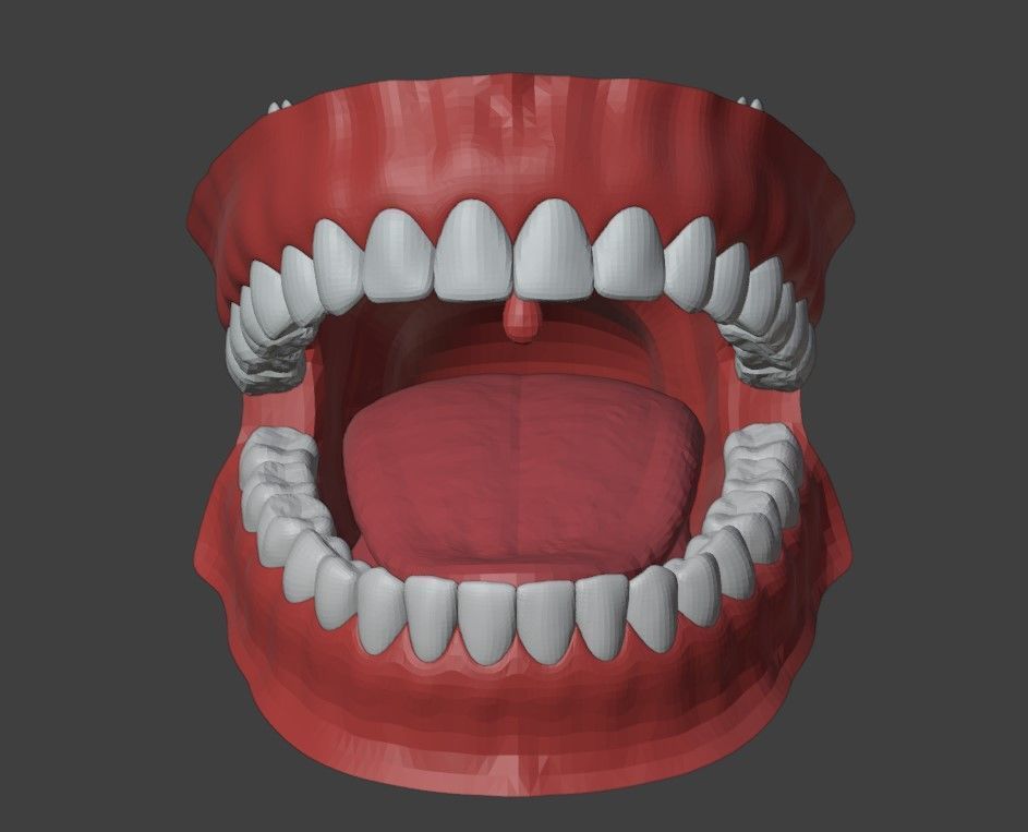 3D Teeth Tounge and Mouth - Dental Model 3D model_4