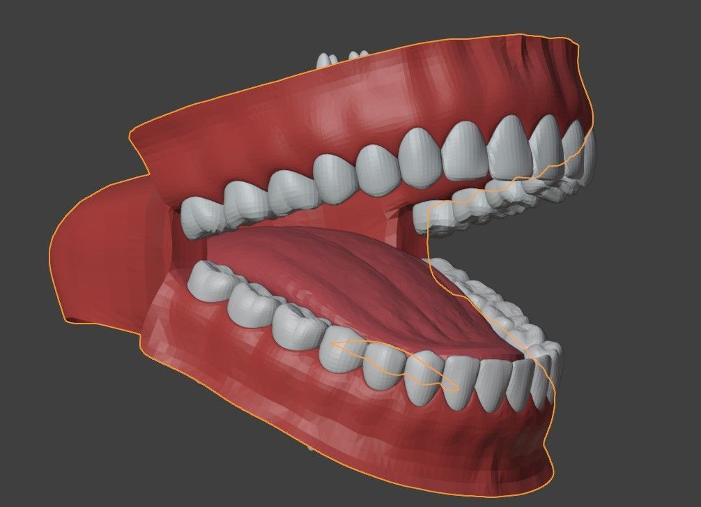 3D Teeth Tounge and Mouth - Dental Model 3D model_1