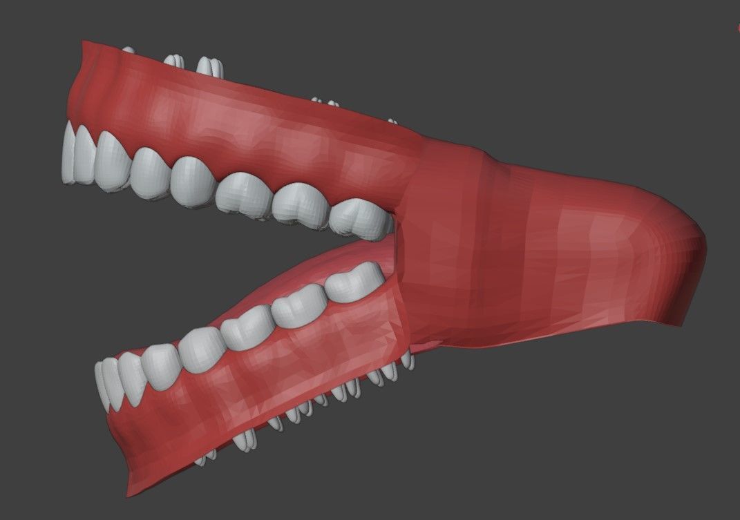 3D Teeth Tounge and Mouth - Dental Model 3D model_3