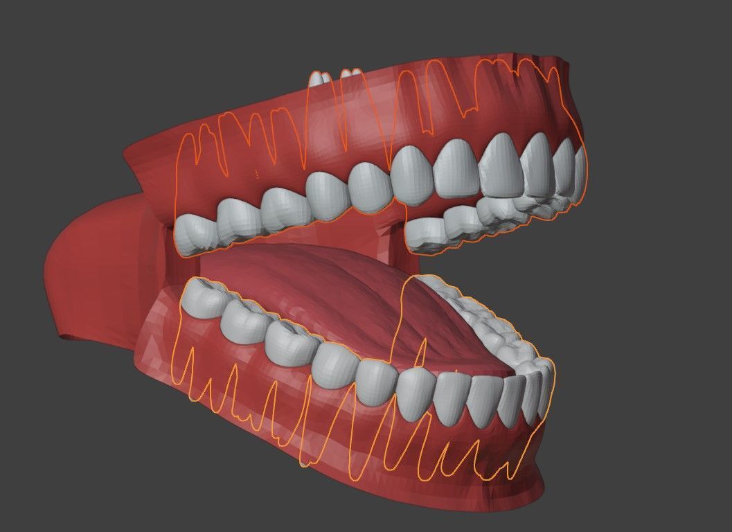 3D Teeth Tounge and Mouth - Dental Model 3D model_9