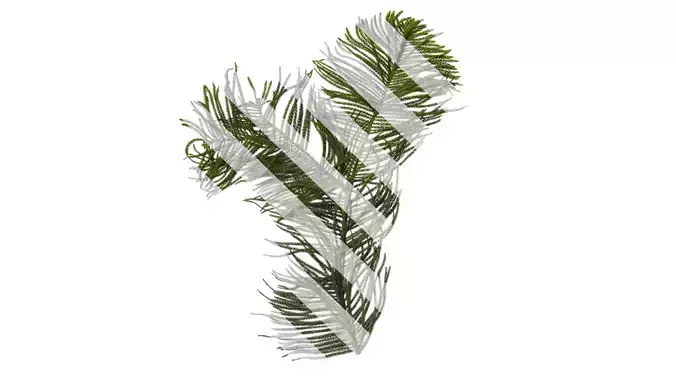 Anydrafts Araucaria heterophylla Atlas 04 Texture