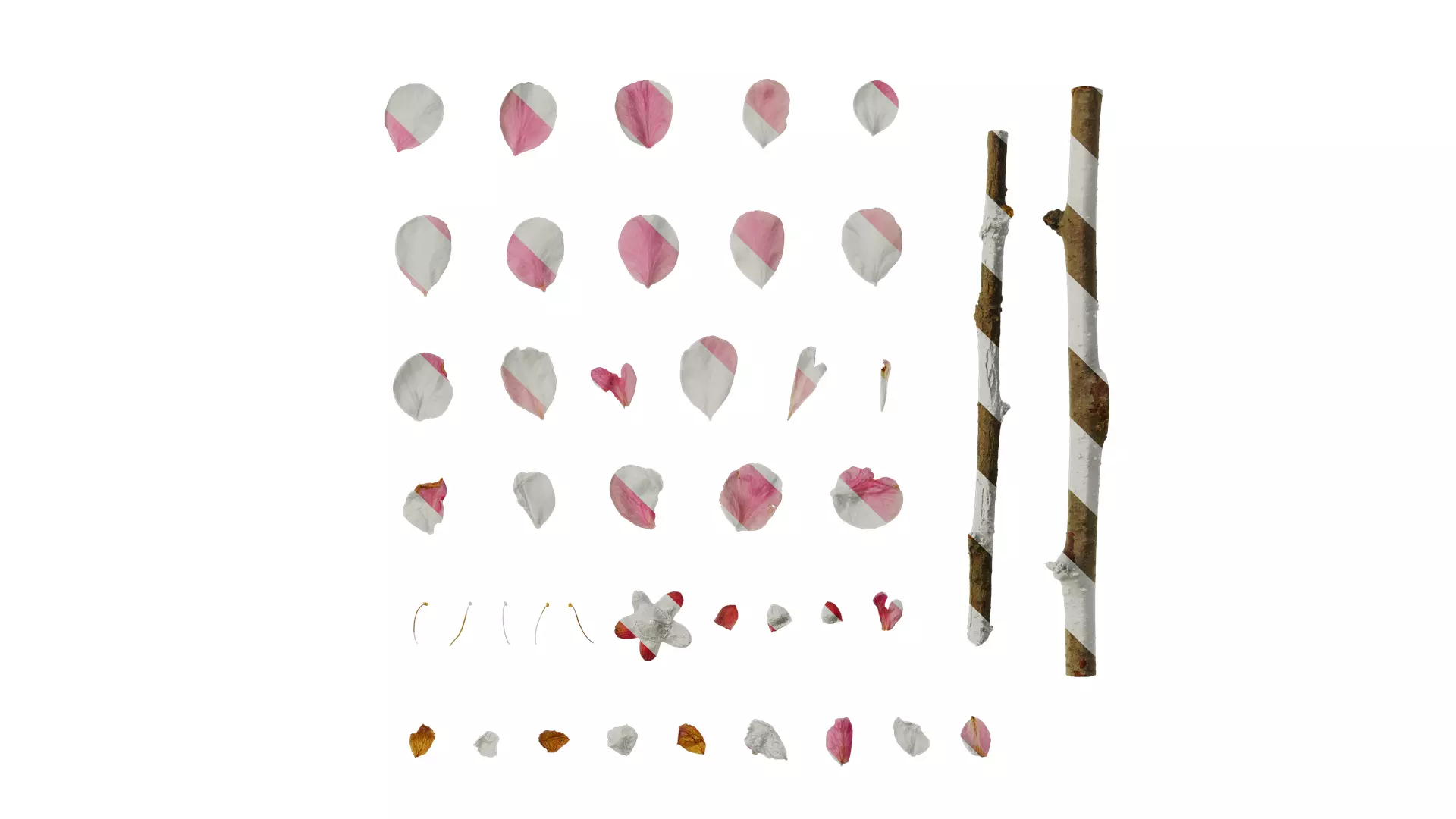 Anydrafts Armeniaca mume Flower 04 Texture_0