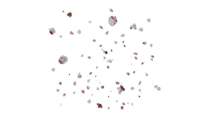 Anydrafts Armeniaca mume Flower 05 Texture