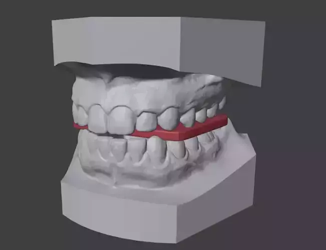 3D Teeth Tounge and Mouth - Dental Model